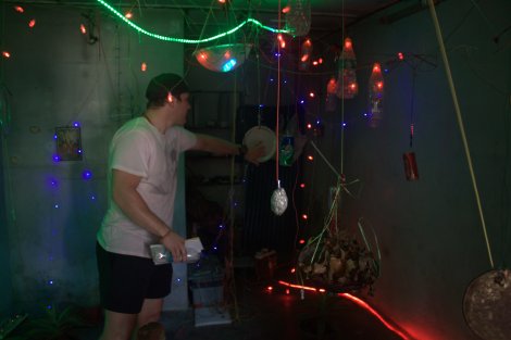 This exhibit was incredible! Touch the different objects to make different electrical sounds using currents. SO. MUCH. FUN. Next door you could put spices on bass speakers to make shapes too...