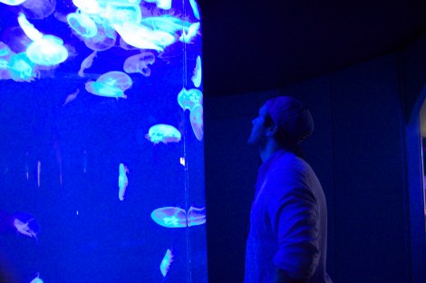 Somebody else thought they were pretty too.