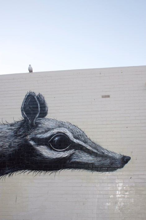 The seagull makes it.