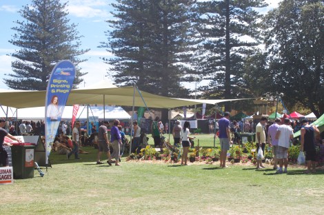 Even some Chilli Plants on sale for those who like to D.I.Y