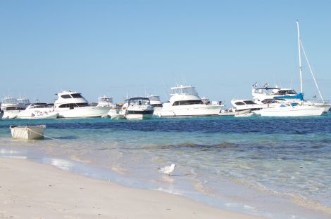Yacht central at Parkers Point.