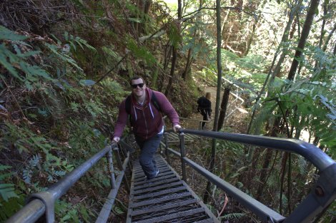 Making the descent (12,000 steps).