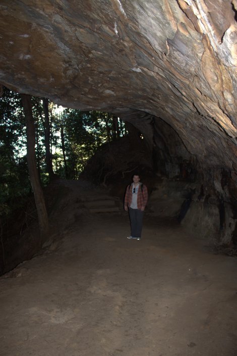 Alongside the rainforest, there were also lots of rock formations to admire and explore.