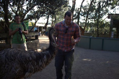 ...before the Emu stole all his animal feed!