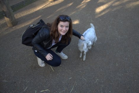 It doesn't matter where you are in the world, Billy Goats are awesome.