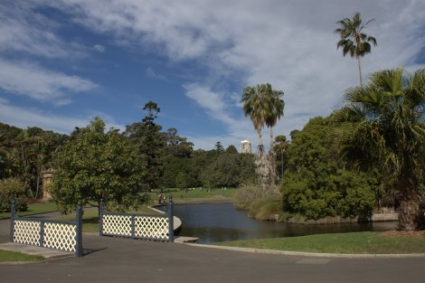 Sydney Botanical Gardens.