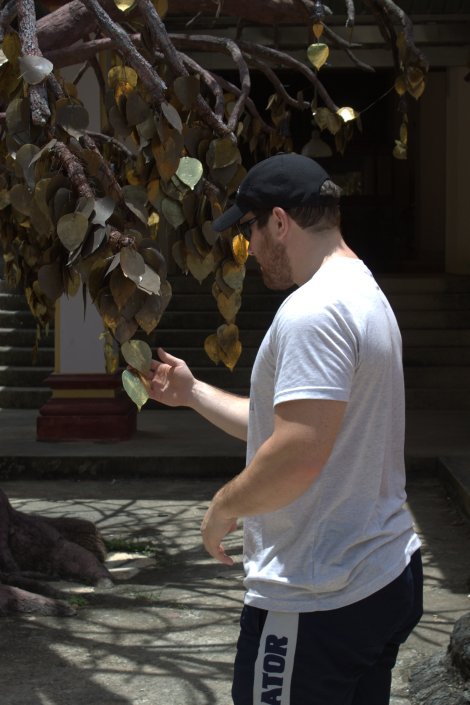 Gold leaf - literally.